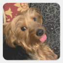 Search for family pet stickers Cute