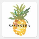 Search for tropical fruit stickers Pretty