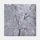 Recherche de hivernal magnets Photo d'hiver