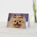 Search for pomeranian cards Friend