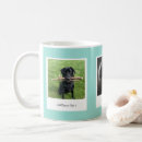 Search for precious mugs Pet
