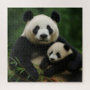 Recherche de panda puzzles Nature