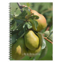 Search for pear photography Pears
