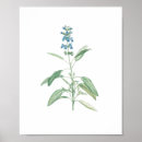 Search for vintage botanical posters Green