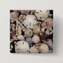 Search for shells buttons Ocean