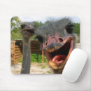 Recherche de autruche tapis souris Zoo