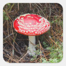 Search for close stickers Botanical