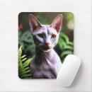 Search for hairless mousepads Sphynx