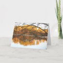 Search for reflections cards Scenic