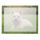 Recherche de westie blocsnotes Cute