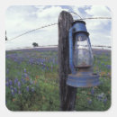 Search for oak trees stickers North america