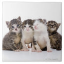 Search for japanese tiles Cat lovers