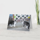 Recherche de chats tigrés photographie Gris