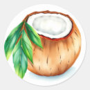 Search for coconut fruit stickers Watercolor
