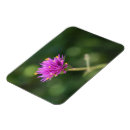 Recherche de jardin botanique magnets Nature