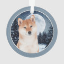 Search for shiba inu ornaments Pet