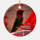 Search for hummingbird ornaments Beautiful