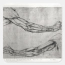 Recherche de dessin anatomique autocollants Muscle