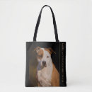Search for american staffordshire terrier Amstaff