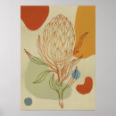 Search for protea posters Botanical