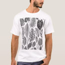 Search for fern tshirts Illustration