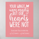 Search for your wings were ready Sympathy