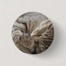 Search for kitty kid buttons Children