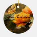 Search for yellow butterflies ornaments Nature