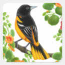 Search for baltimore stickers Bird