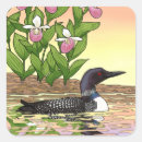 Search for minnesota loon stickers Minnesota state bird