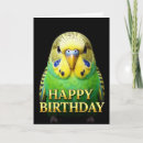 Recherche de perruche vœux cartes D'anniversaire