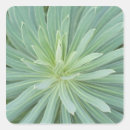 Search for depth stickers Close up