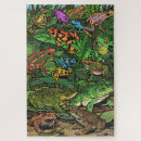 Recherche de grenouille puzzles Coloré