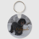 Search for blizzard keychains Animal