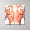 Search for spine canvas prints Close up