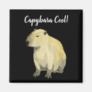 Search for capybara magnets Wildlife