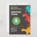 Search for puns birthday invitations Party