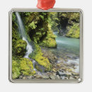 Search for olympic national park ornaments Scenic