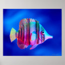 Recherche de vie marine art Sous l'eau