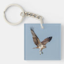 Search for ospreys keychains Bird