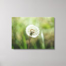 Search for dandelion canvas prints Dream