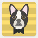 Search for boston terrier stickers Black and white