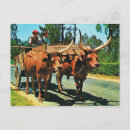 Recherche de char cartes postales Vintage