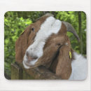 Search for herding mousepads Ranch