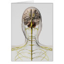Search for human representation Digitally generated image