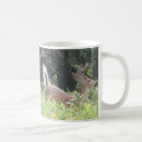 Recherche de whitetail tasses Nature