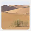 Recherche de sahara autocollants Voyage