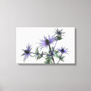 Search for thistle art Flora