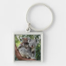 Search for koala keychains Baby