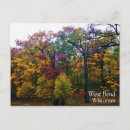 Recherche de sombre cartes postales Forêt